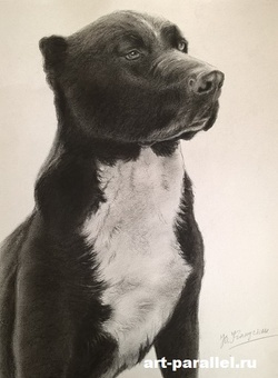 art-parallel.ru, портрет, рисунок, живопись маслом, мастер-класс, портрет написанный пастелью, портрет по фото,