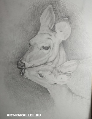 art-parallel.ru, картины под интерьер, картины в реалистическом стиле, пейзажи маслом на заказ, пейзаж маслом с натуры, натюрморты маслом, цветы масло,