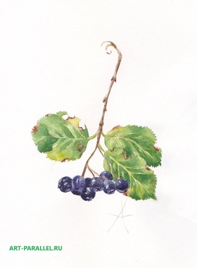 art-parallel.ru,  галереи,  мастер-класс, портрет по фотографии, продажа картин, рисунок углём, картины маслом на холсте, портрет девушки маслом, интересные подарки,