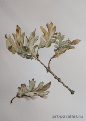 art-parallel.ru, заказ картин в Москве, интерьерная живопись, мастер-класс, выставки, живопись маслом, пастельная живопись,