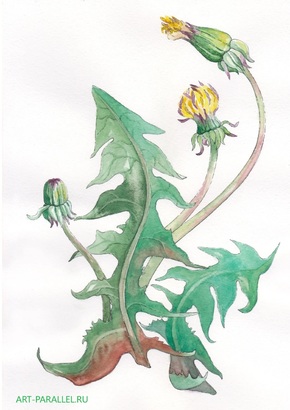 art-parallel.ru, пейзаж написанный акварелью, галереи, пастель, рисунок пейзажа, натюрморт, художник портретист, мастер-класс, художник пейзажист, рисуем на плэнере, графика, рисунок, портрет на заказ, копии картин, рисунок пастелью, акварель, импрессионизм, живопись, написать картину,