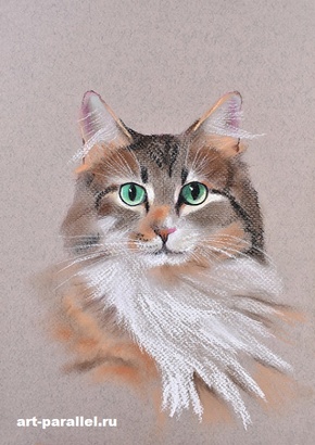art-parallel.ru, портрет, рисунок, живопись маслом, мастер-класс, портрет написанный пастелью, портрет по фото, импрессионизм, акварель, галереи, портрет на заказ, живопись, мастер-класс по живописи, рисуем кошечек
