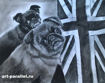 art-parallel.ru, портрет, рисунок, живопись маслом, мастер-класс, портрет написанный пастелью, портрет по фото,